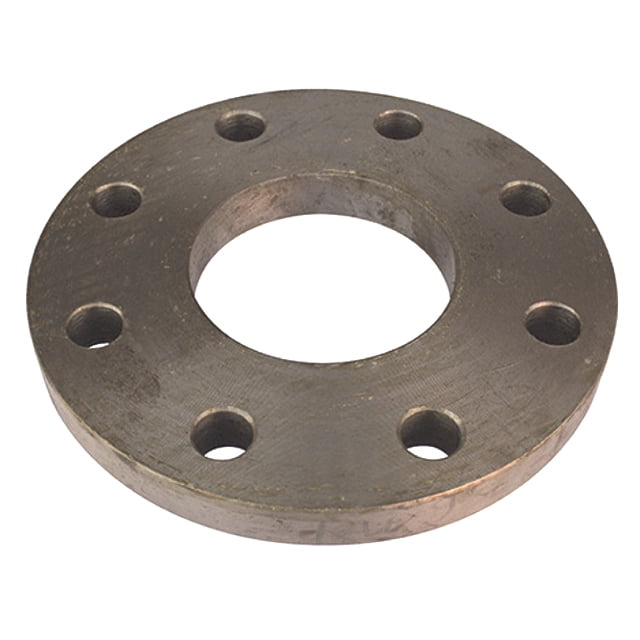 SS 317/317L Plate Flanges Suppliers